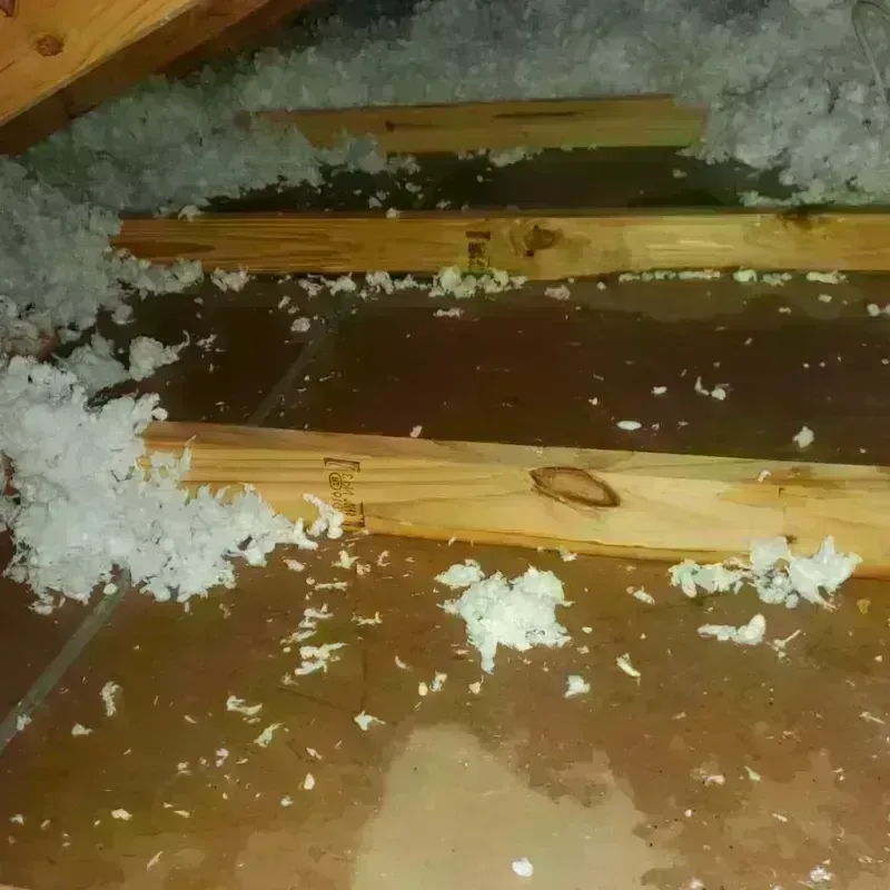 Attic Water Damage in Dana Point, CA